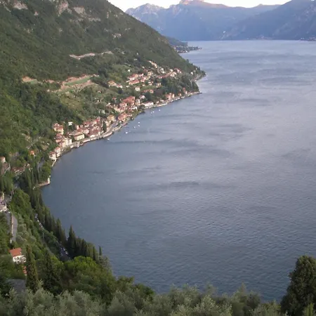 The Lake House